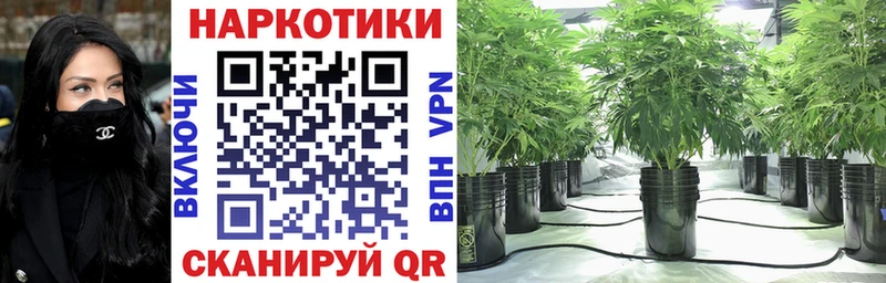 Виды наркотиков купить Обнинск Каннабис ГАШ