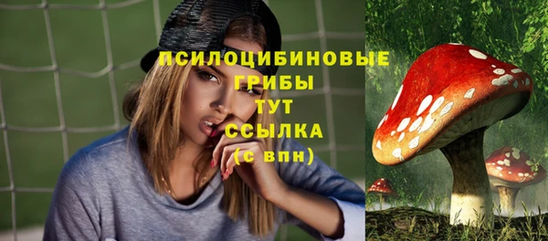 mdpv Вязьма