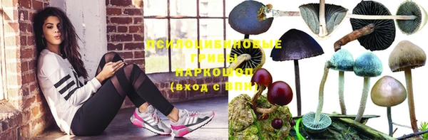 mdpv Вязьма