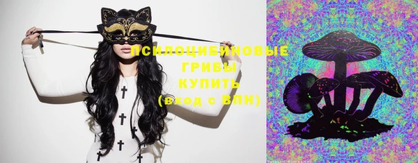 крисы Вязники